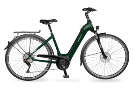 Vélo électrique de ville LEB 890 Alivio cadre Ouvert vert anglais